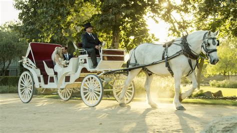 Carriage ride service
